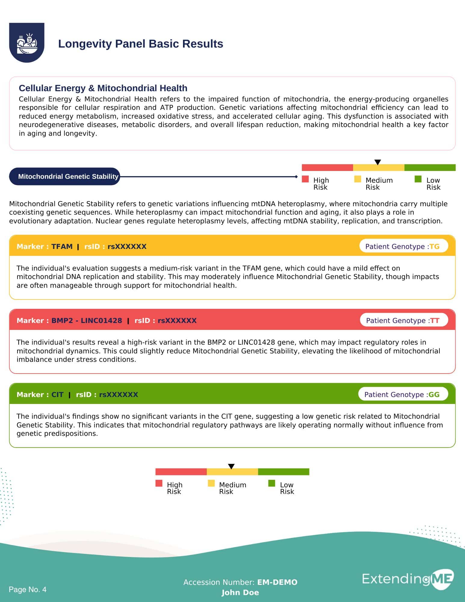 Longevity Basics Report
