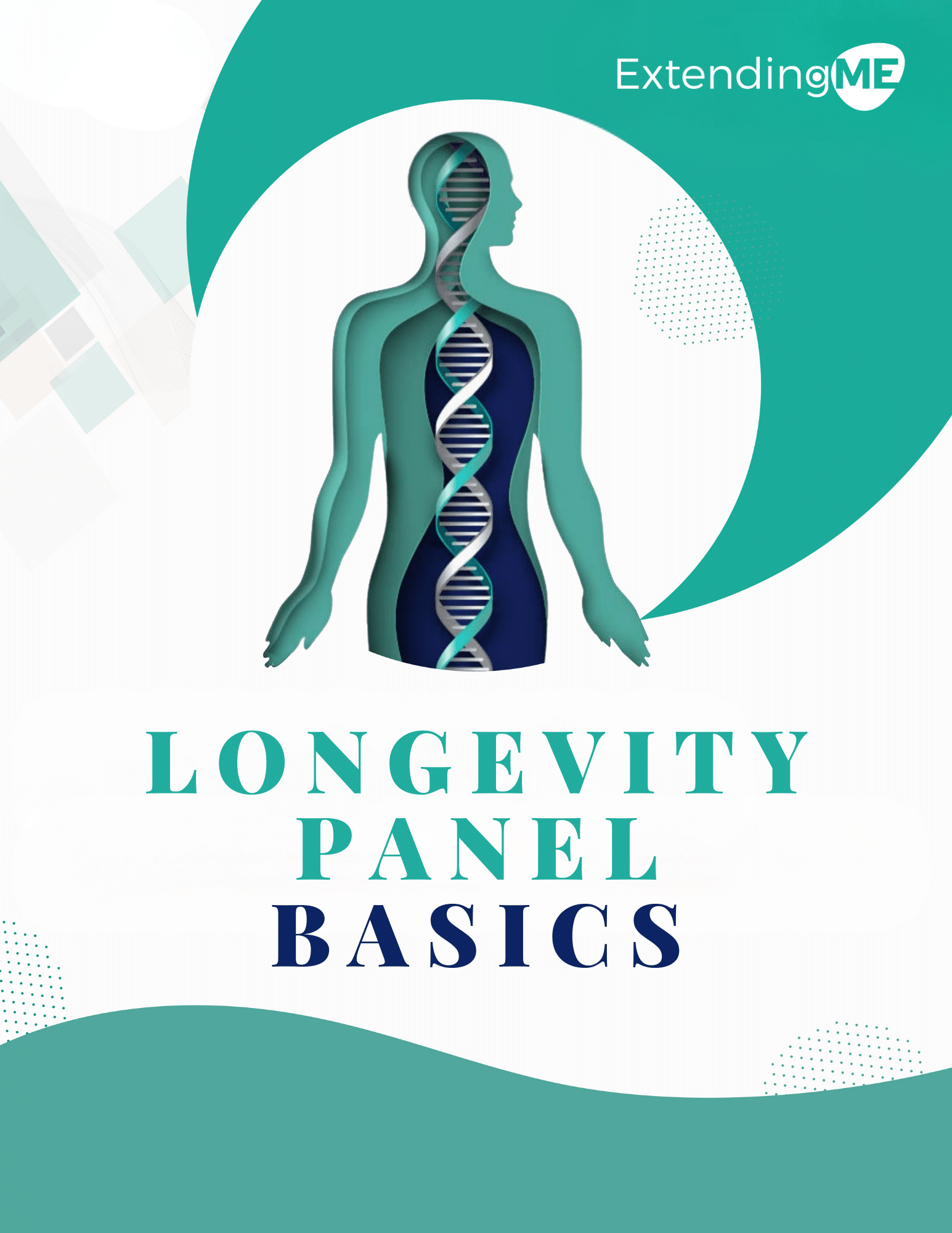 Longevity Basics Report