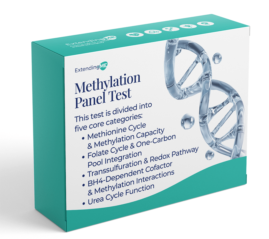 Methylation Panel