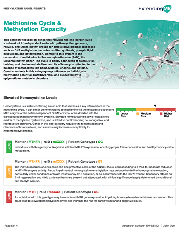 Methylation Panel Report