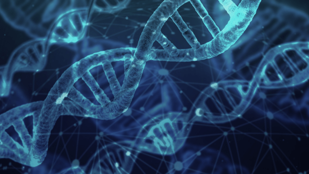 Why Providers Need a Broader View of Methylation Genetics