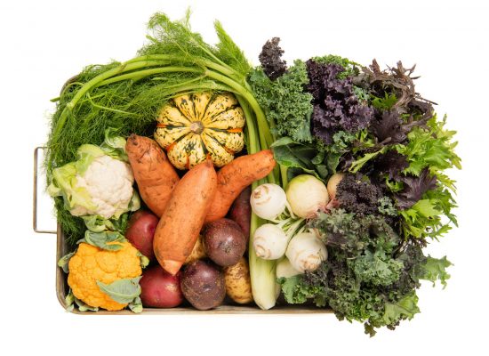 Our Partner The Chef's Garden