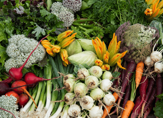 Fresh-Vegetables-2